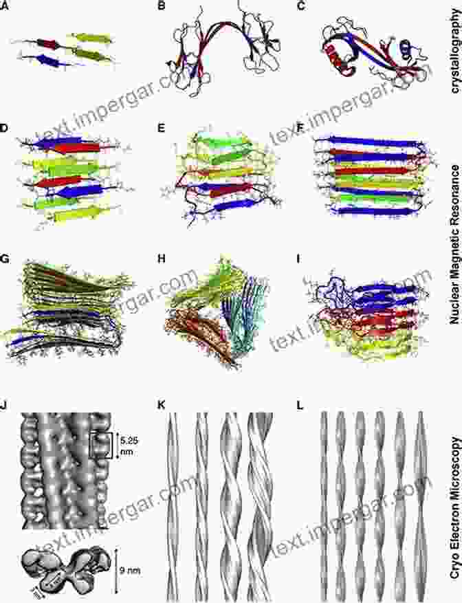 A Diagram Illustrating The Functional Fold Of Amyloid Structures In Nature The Functional Fold: Amyloid Structures In Nature