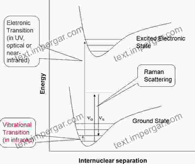 A Diagram Illustrating The Role Of Electronic Excited States In Various Biological Processes, Such As Photosynthesis, Vision, And DNA Repair. Theoretical Chemistry For Electronic Excited States (Chemical Biology 12)