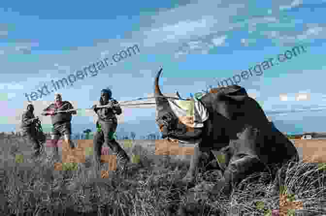 A Group Of Poachers Hunting In The Savanna CHAMELEON: The Poacher S Enemy