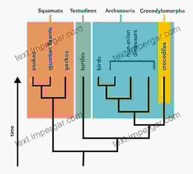 A Phylogenetic Tree Depicting The Evolutionary Relationships Among Major Molluscan Groups, Highlighting Their Divergence From A Common Ancestor. Biology And Evolution Of The Mollusca Volume 2