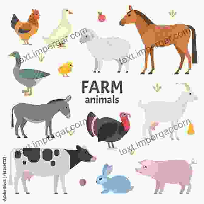 A Variety Of Farm Animals, Including Horses, Cows, Sheep, And Goats Draft Animals: 100 Answers For Harnessing Animal Power (Country Living Answers)