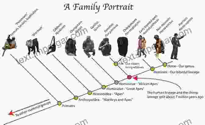 A Visual Representation Of The Evolutionary Tree, Showcasing The Interconnectedness Of All Living Organisms. Giving The Devil His Due: Reflections Of A Scientific Humanist