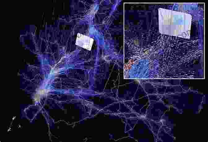 An Abstract Representation Of Dark Matter, Its Distribution Throughout The Universe Depicted In A Web Like Network. Dark Sky Dark Matter (Series In Astronomy And Astrophysics 8)