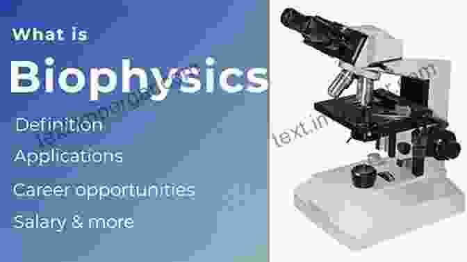 Biophysics And Healthcare Applications Dynamics Of Glassy Crystalline And Liquid Ionic Conductors: Experiments Theories Simulations (Topics In Applied Physics 132)