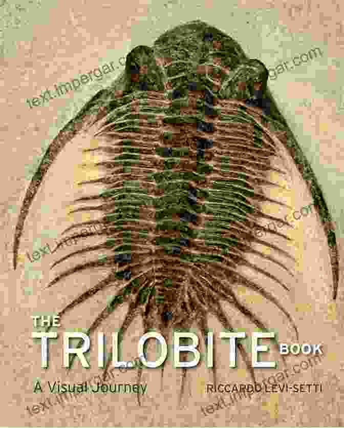 Book Cover Of Trilobite: Eyewitness To Evolution Richard Fortey