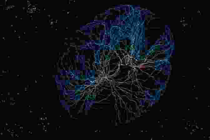 Brain Scan Revealing Intricate Neural Connections The Wandering Mind: What The Brain Does When You Re Not Looking