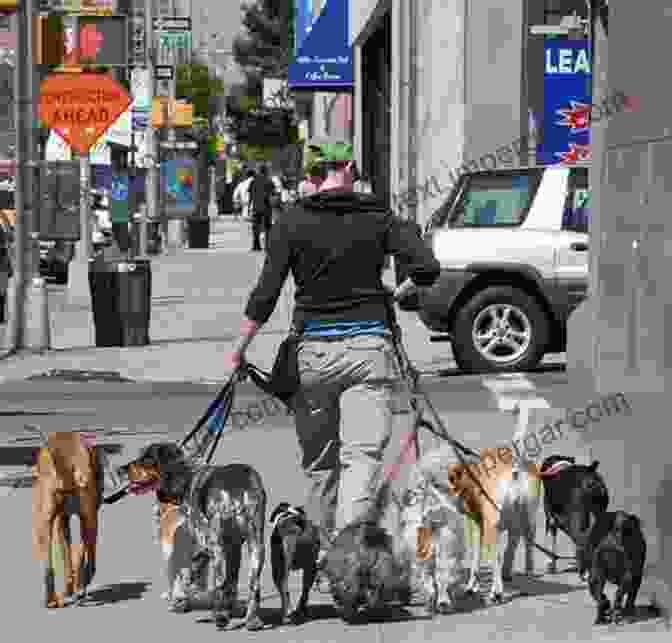 Confessions Of A New York City Dog Walker: A Hilarious And Heartwarming Memoir Gone Walkabout: Confessions Of A New York City Dog Walker