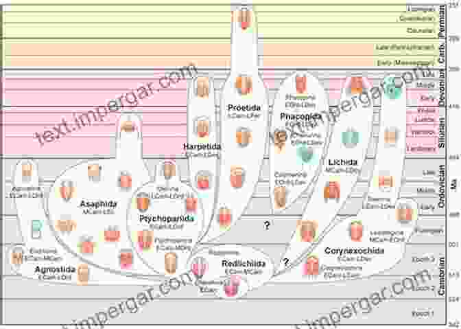 Diagram Depicting The Evolutionary Tree Of Trilobites, Highlighting Key Adaptations And Diversification Trilobite: Eyewitness To Evolution Richard Fortey