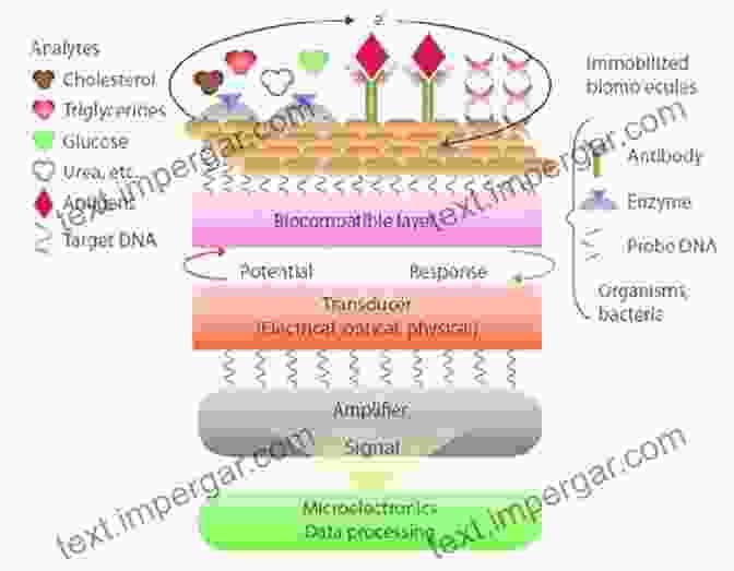 Diagram Illustrating The Basic Principles Of Biosensor Operation Biosensors: An Introductory Textbook