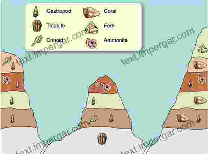 Geological Column Showing The Distribution Of Trilobite Fossils Within Different Rock Layers, Illustrating Their Use In Biostratigraphy Trilobite: Eyewitness To Evolution Richard Fortey