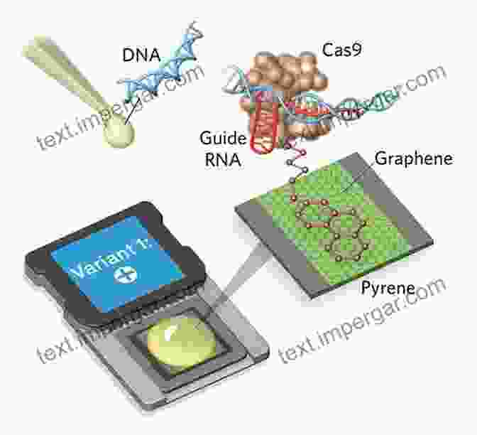 Image Of A Cantilever Based Biosensor Being Used For DNA Detection Biosensors: An Introductory Textbook