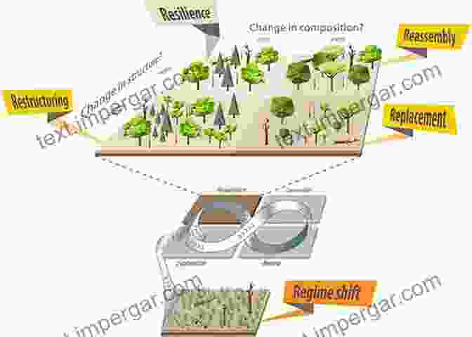 Image Of A Diverse Ecosystem Recovering From A Disturbance Disturbance Ecology And Biological Diversity: Context Nature And Scale