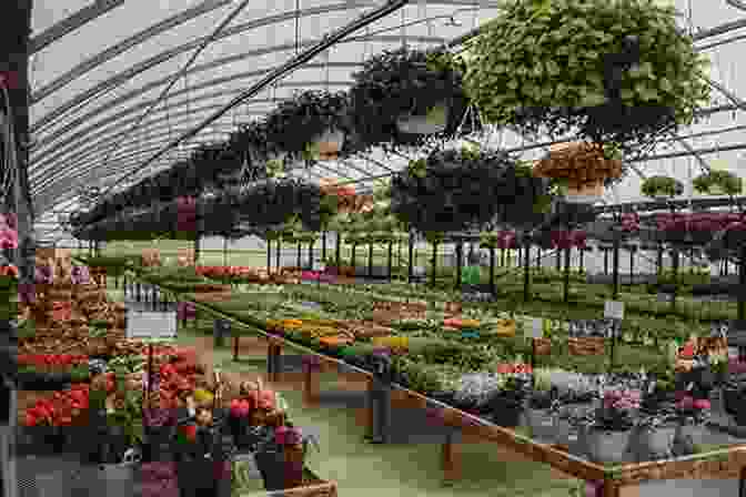 Image Of A Greenhouse Filled With Rows Of Blooming Flowers Commercial Horticulture With Chapters On Vegetable Production And Commercial Fruit Growing