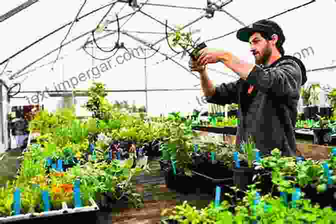 Image Of A Horticulturist Working On A Computer In An Office Commercial Horticulture With Chapters On Vegetable Production And Commercial Fruit Growing