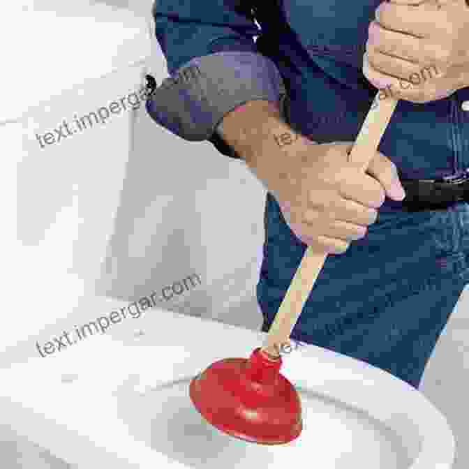 Image Of A Toilet With A Plunger In The Bowl Toilet Issues: How To Solve And Avoid Toilet Problems