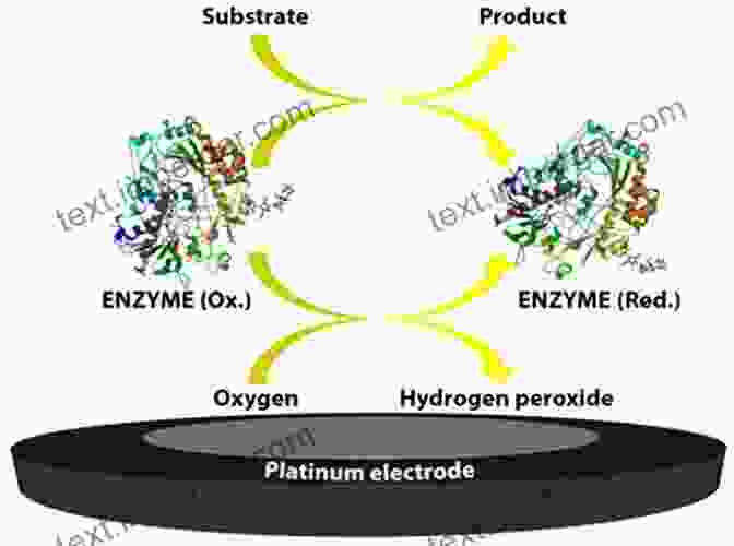 Image Of An Electrochemical Biosensor Being Used For Glucose Monitoring Biosensors: An Introductory Textbook