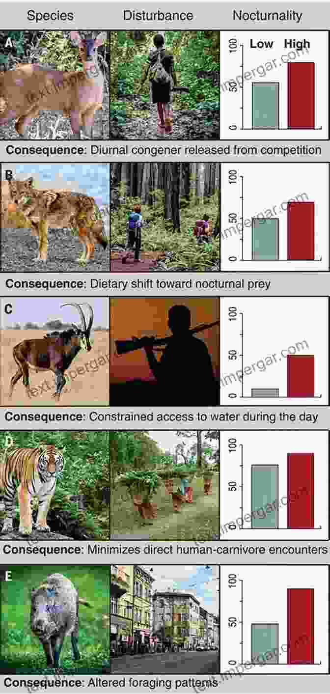 Image Of Researchers Studying The Impact Of Disturbance On Wildlife Disturbance Ecology And Biological Diversity: Context Nature And Scale