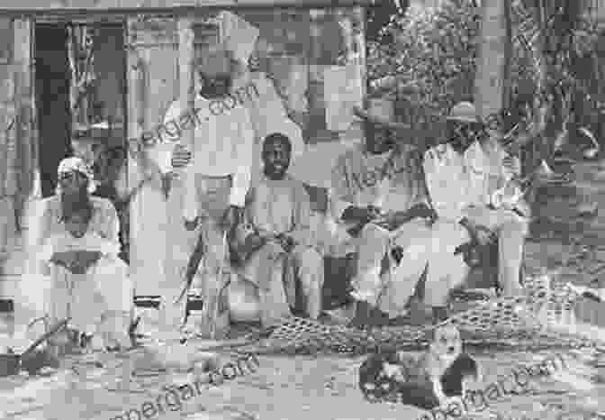 Indentured Laborers Working On A Danish West Indies Plantation Indian Indenture In The Danish West Indies 1863 1873