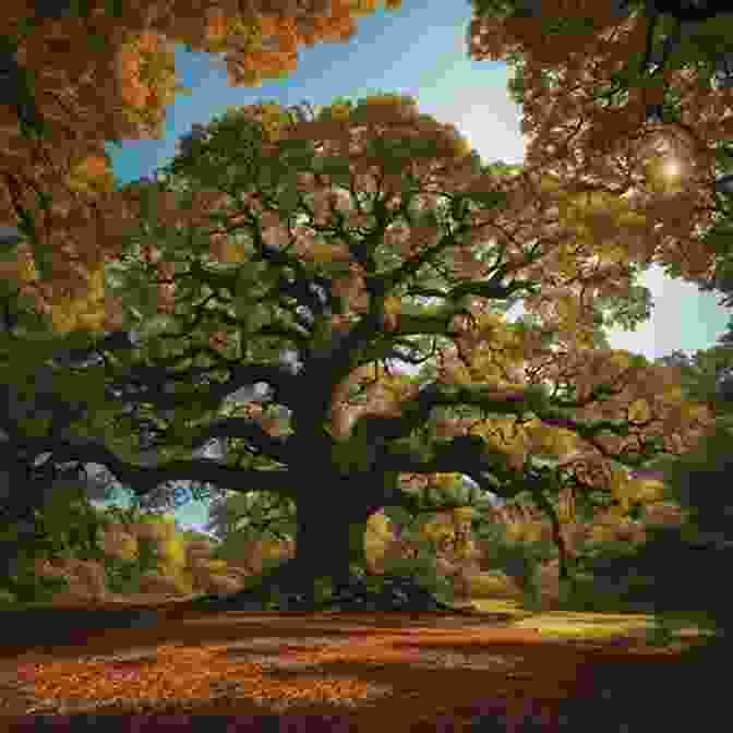 Majestic Oak Tree Towering Over A Bed Of Acorns, Symbolizing The Transformative Power Of Incremental Growth. The Hunger: From Little Acorns Mighty Oak Trees Grow