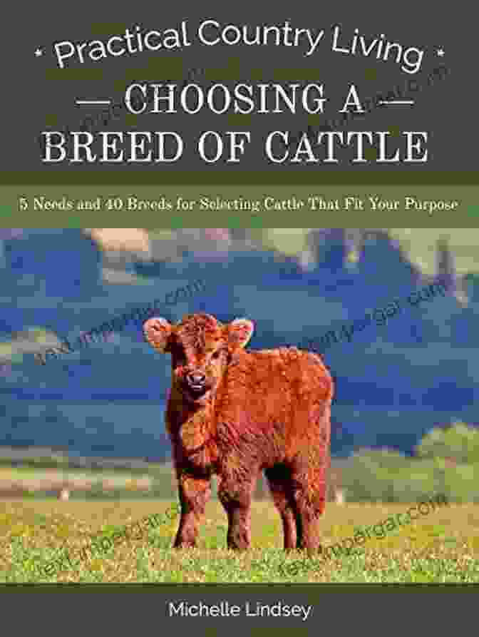 Needs And 40 Breeds For Selecting Cattle That Fit Your Purpose Practical Choosing A Breed Of Cattle: 5 Needs And 40 Breeds For Selecting Cattle That Fit Your Purpose (Practical Country Living)