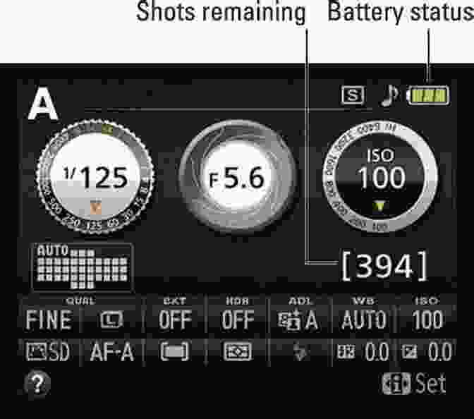 Nikon D5200 Basic Settings Nikon D5200: From Snapshots To Great Shots