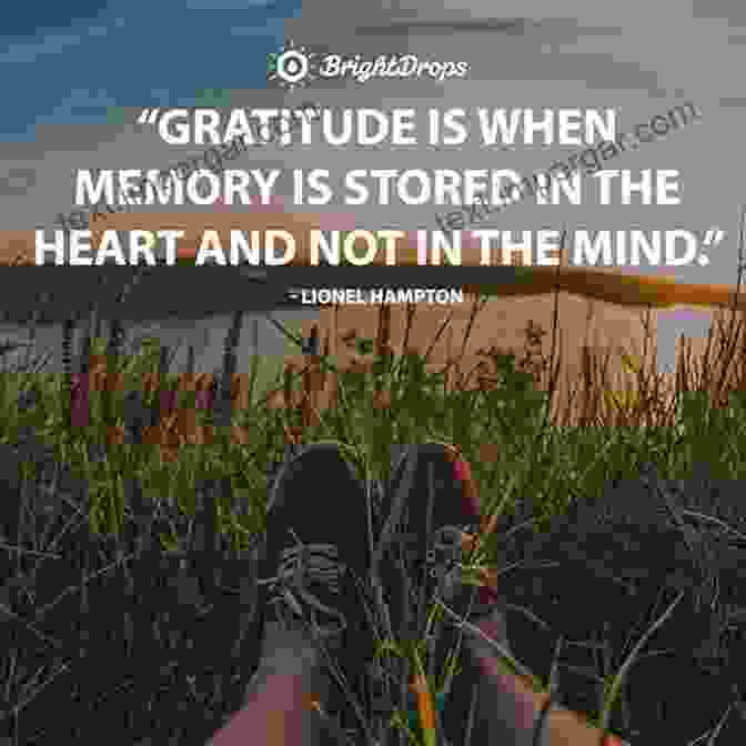 Practicing Gratitude And Appreciating Life's Blessings The Handbook For Highly Sensitive People: How To Transform Feeling Overwhelmed And Frazzled To Empowered And Fulfilled