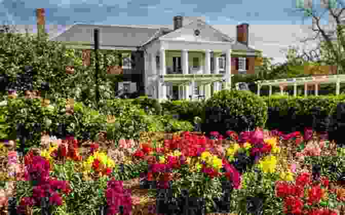 The Beautiful Boone Hall Gardens, With Its Vibrant Azaleas And Camellias Boone Hall Plantation (Images Of America (Arcadia Publishing))