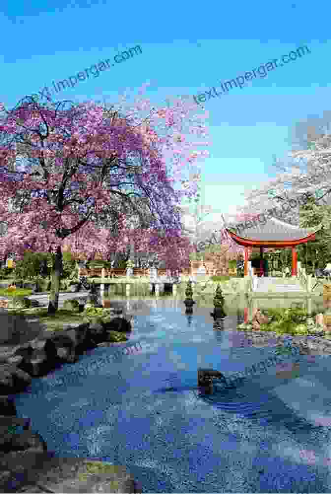 Tranquil Japanese Garden With Blooming Cherry Blossoms A Few Words On The Way: Haiku And Short Poems