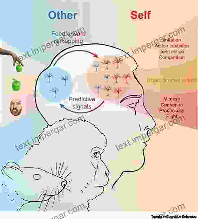 Uncovering The Cognitive Mechanisms Behind Social Perception Social Psychology And Human Nature Comprehensive Edition