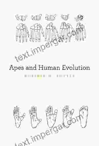 Apes And Human Evolution Russell H Tuttle