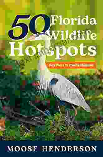 50 Florida Wildlife Hotspots: A Guide For Photographers And Wildlife Enthusiasts