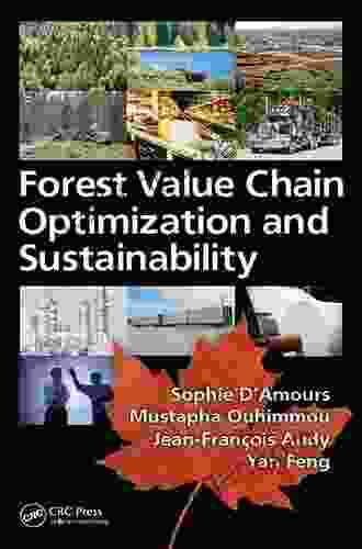 Forest Value Chain Optimization And Sustainability