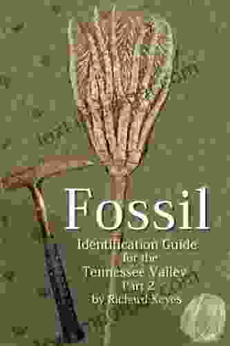 Fossil Identification Guide For The Tennessee Valley Part 2