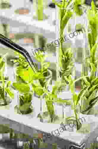 Genetic Engineering of Plants for Crop Improvement