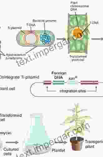 Genetically Modified Organisms: Transgenesis In Plants