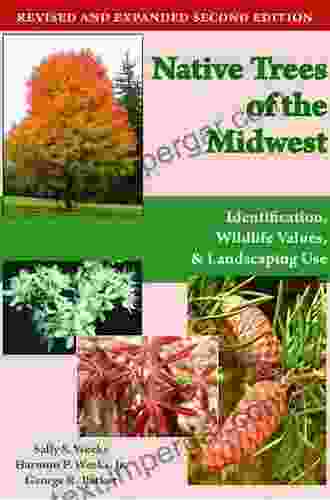 Native Trees Of The Midwest: Identification Wildlife Value And Landscaping