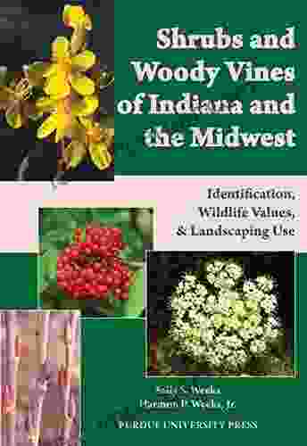 Shrubs And Woody Vines Of Indiana And The Midwest: Identification Wildlife Values And Landscaping Use