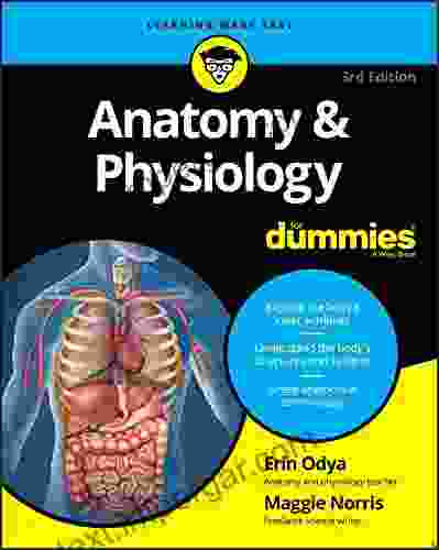 Anatomy Physiology For Dummies (For Dummies (Lifestyle))