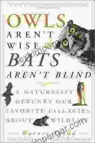 Owls Aren T Wise Bats Aren T Blind: A Naturalist Debunks Our Favorite Fallacies About Wildlife