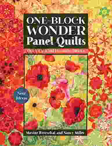 One Block Wonder Panel Quilts: New Ideas One Of A Kind Hexagon Blocks