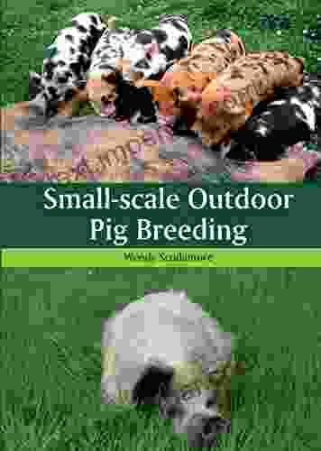 Small Scale Outdoor Pig Breeding Wendy Scudamore