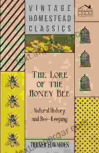 The Lore Of The Honey Bee Natural History And Bee Keeping