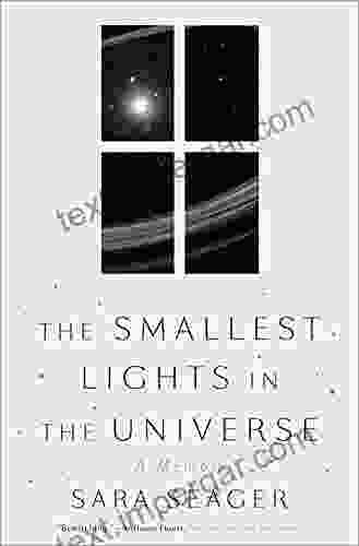 The Smallest Lights In The Universe: A Memoir