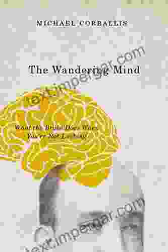 The Wandering Mind: What The Brain Does When You Re Not Looking