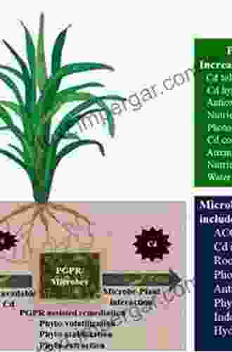 Cadmium Tolerance In Plants: Agronomic Molecular Signaling And Omic Approaches