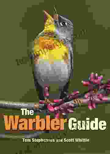 The Warbler Guide Tom Stephenson