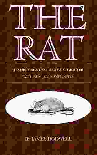 The Rat Its History Destructive Character