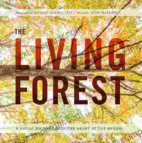 The Living Forest: A Visual Journey Into The Heart Of The Woods